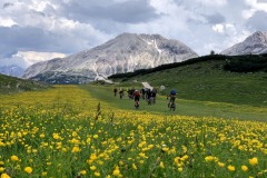 IMG_4383